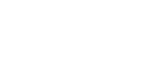 Reveal Business Solutions